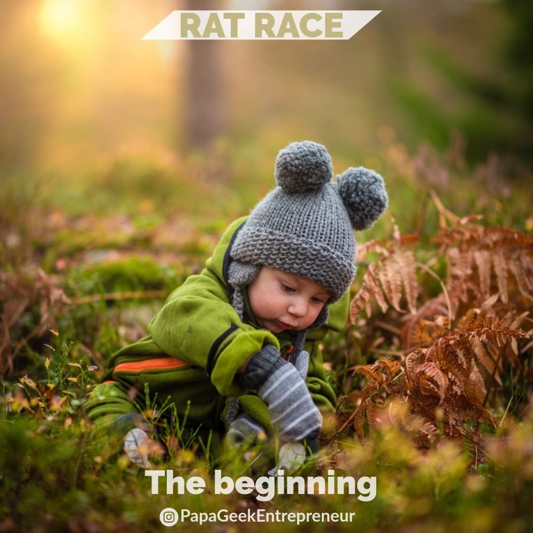 You are currently viewing A typical view of the Rat Race